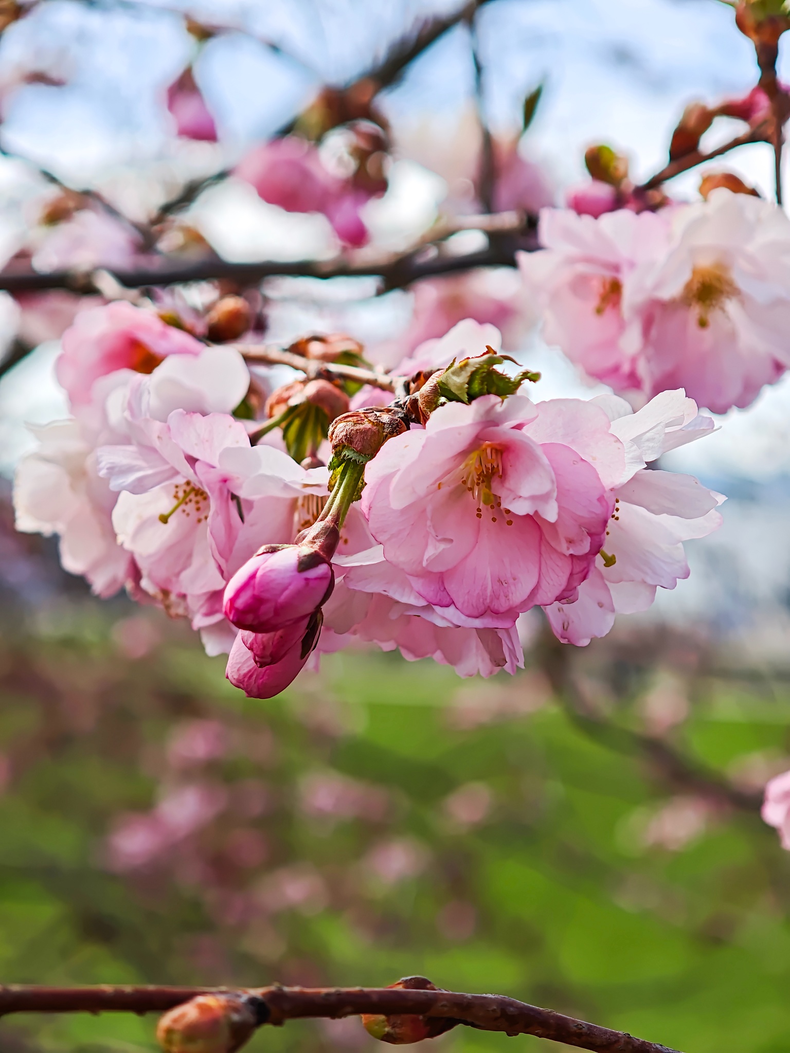 MVIMG 20250427 135749 copy